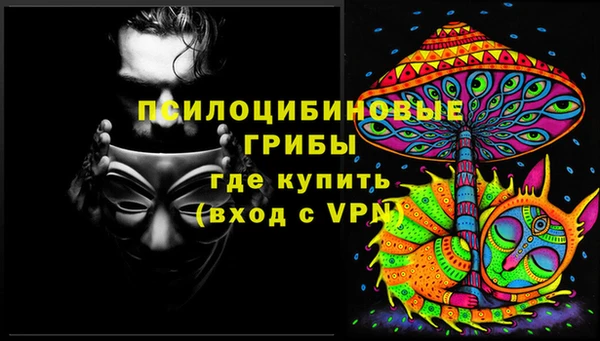 гидропоника Алзамай